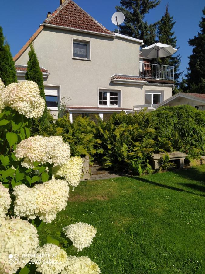 Kreativ Ferienwohnung Domizil Der Sinne Bad Liebenwerda Exterior foto